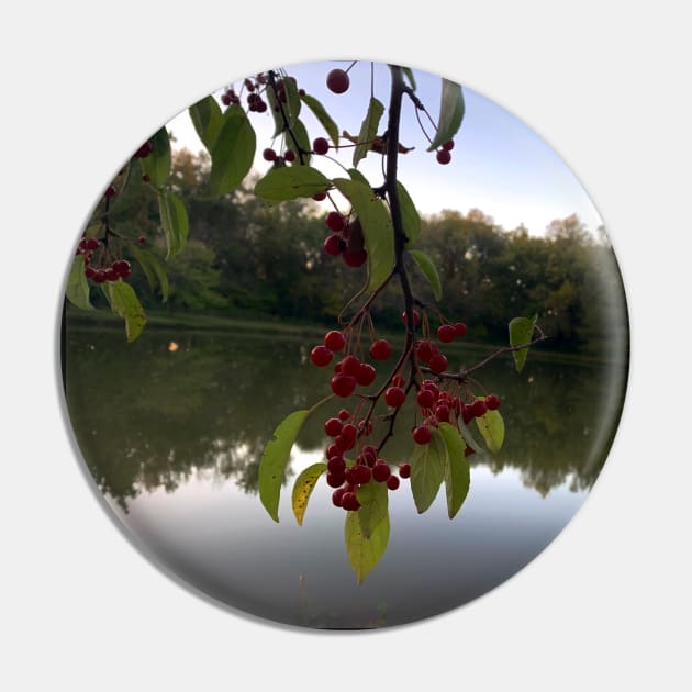 Red Berries Against a Peaceful Pond - Tomahawk Creek Pond Overland Park KS Pin by Zen Goat 