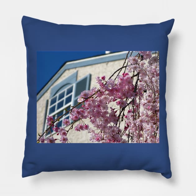 Just Lovely Spring Day Pillow by vadim19