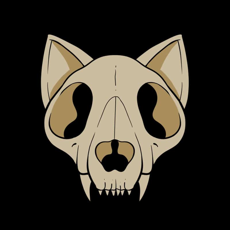 thiagocorrea profile image