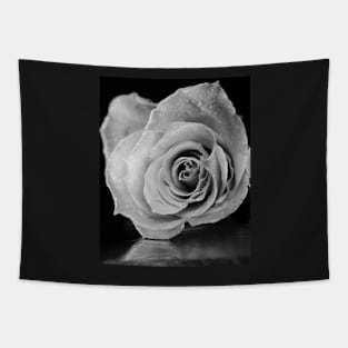 Black and white rose. Tapestry