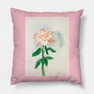 Pink rose Pillow