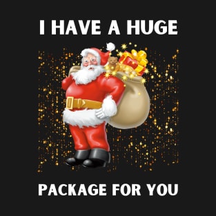 I Have A Huge Package For You christmas T-Shirt
