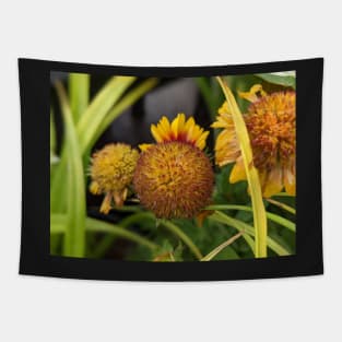 Yellow Flower Losing Petals Tapestry