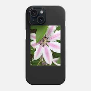 Shy Pink Clematis Phone Case