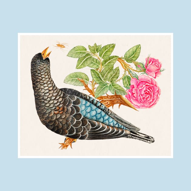 Blue-Black Bird on Rose Branch with Spider (18th Century) by WAITE-SMITH VINTAGE ART