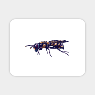 Wasp Bee Insect Illustration Magnet