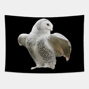 Owl Snow Tapestry