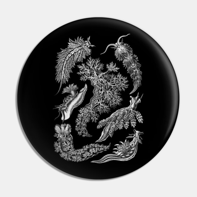 Ernst Haeckel Nudibranchia Black & White Pin by Scientistudio