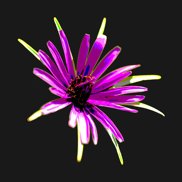 Purple Flower - Wild Salsify - Art by sleepingdogprod