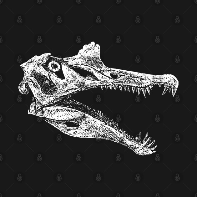 Spinosaurus Skull (plain) by LAB Ideas