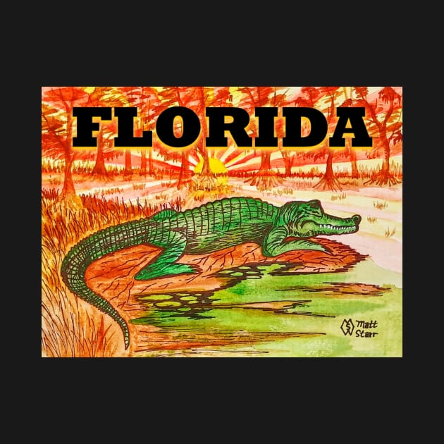 Florida alligator by Matt Starr Fine Art