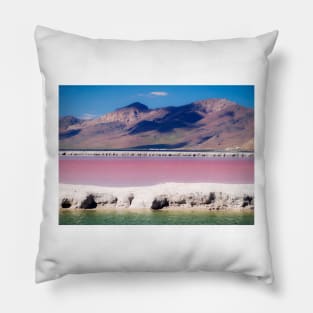 Blue, Pink and Green Pillow