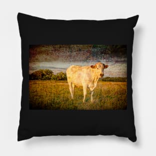 Bullock#4 Pillow