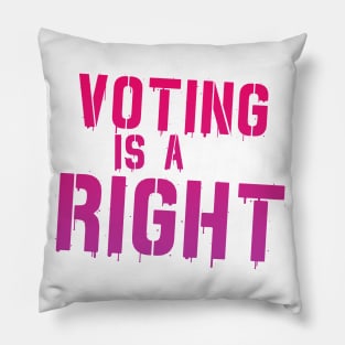 Voting is Not a Freaking Honor--IT IS A RIGHT Pillow