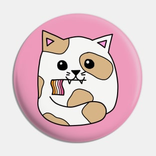 lesbian pride flag cat Pin