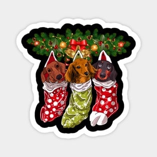 Dachshunds Socks Christmas Gifts Dogs Lovers Magnet