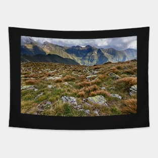 Alpine landscape in a cloudy day Tapestry