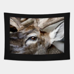 Caribou Head Tapestry