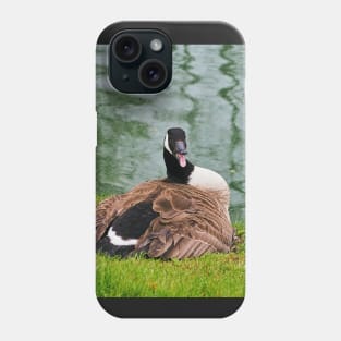 An Angry Female Canada Goose On Her Nest Phone Case