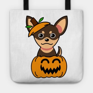 Funny small dog is in a pumpkin Tote