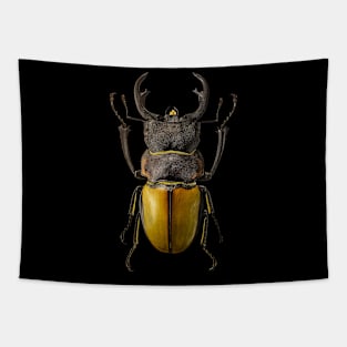 Insect Tapestry