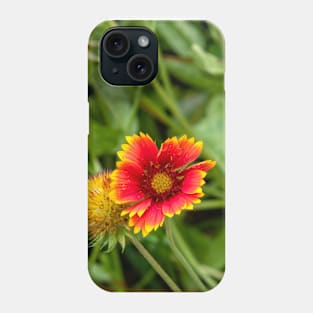 Red Flower with Yellow Petals Among Greenery Phone Case