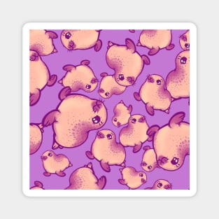 Peachy Baby Seals on Orchid Magnet