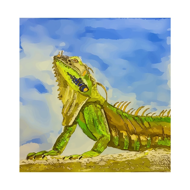 Key West Florida Iguana - WelshDesigns by WelshDesigns