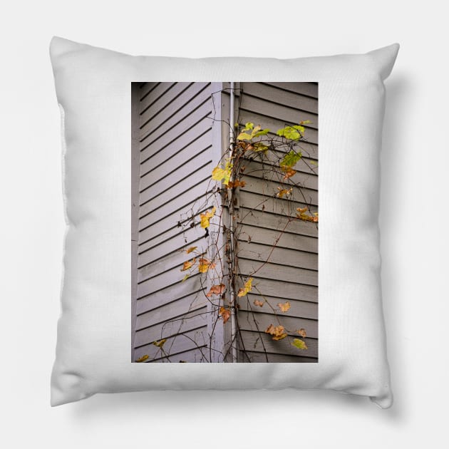 Simply Autumn Pillow by bobmeyers