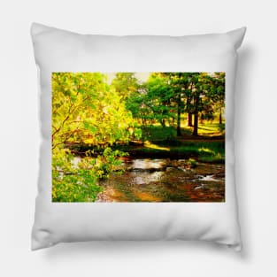 Bowring Park Pillow