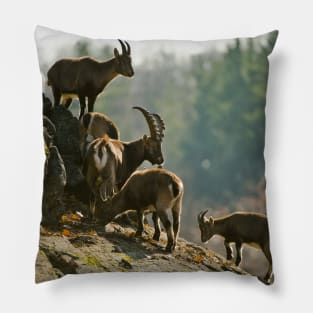 Ibex Pillow