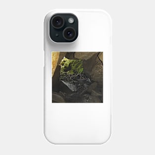 Out To The Jurassic Phone Case