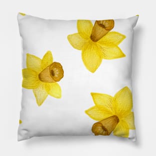 Yellow daffodil flower Pillow