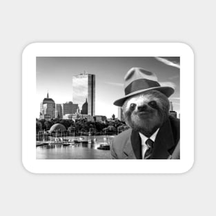 Sloth in Boston Magnet