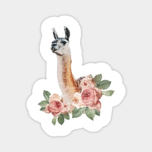 pink llama Magnet