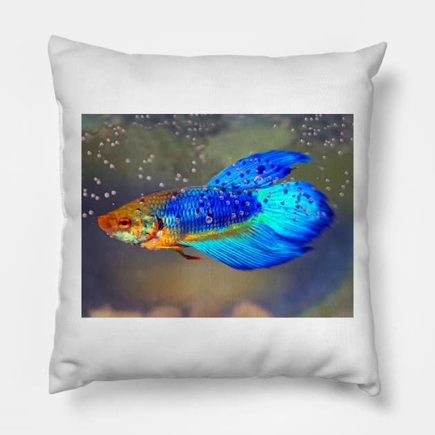 Siamese Fighting Fish Pillow by danieljanda