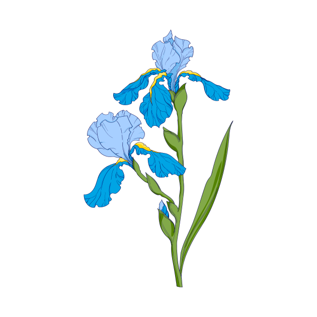 blue iris. branch with blue iris flower by  ESHA-Studio