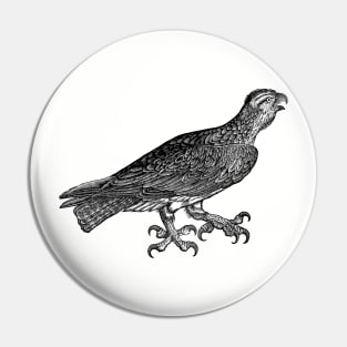 Vintage Eagle Retro hawk raptor illustration design Pin