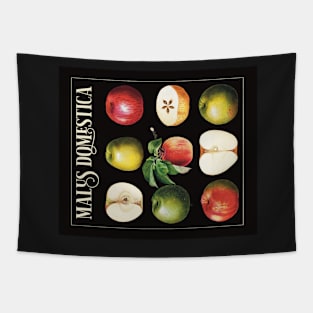 Vintage Apples tapestry Tapestry