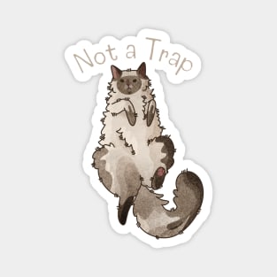 Not a Trap - Ragdoll - Gifts for Cat Lovers Magnet