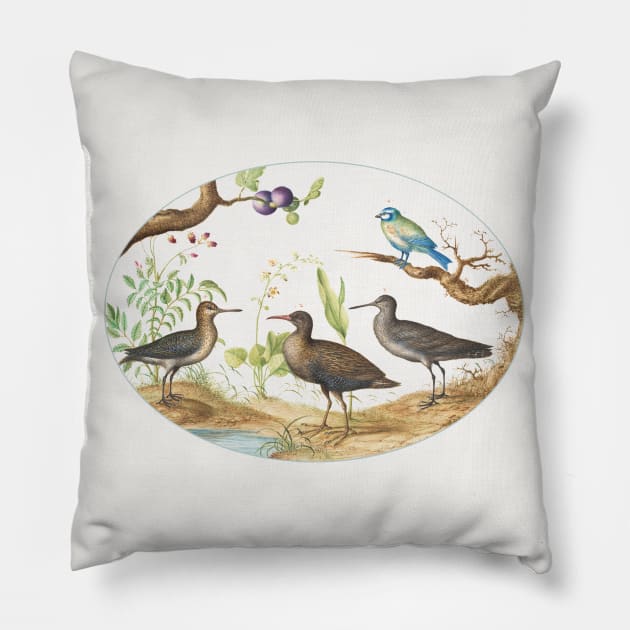 Blue Tit with Three Wading Birds and a Fig Tree (1575-1580) Pillow by WAITE-SMITH VINTAGE ART