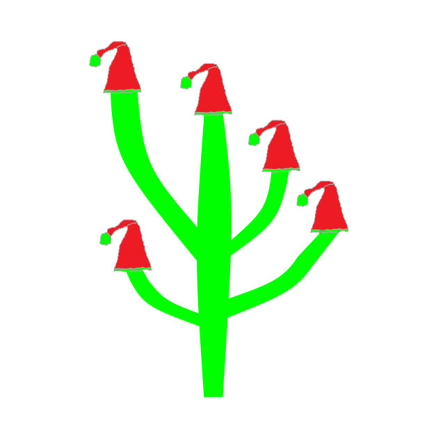 Christmas Tree Cactus by simonjgerber