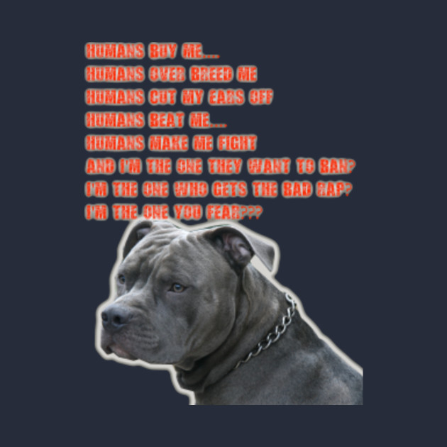 pit bull dog clothes pit bull dog clothes