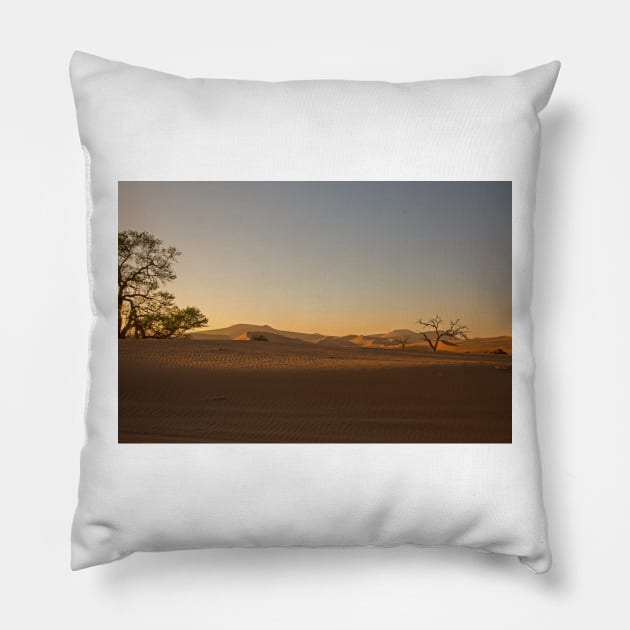 Sunrise at sossusvlei Pillow by HazelWright