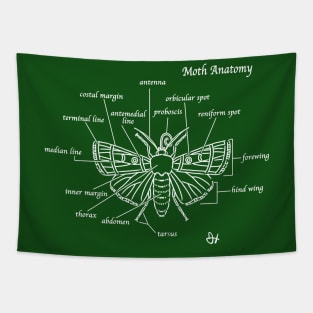 Moth Anatomy Cheat Shirt Tapestry