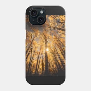 Sunburst Through Autumn Aspen Grove Phone Case