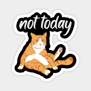 Lazy Cat Nope not Today funny sarcastic messages sayings and quotes Magnet