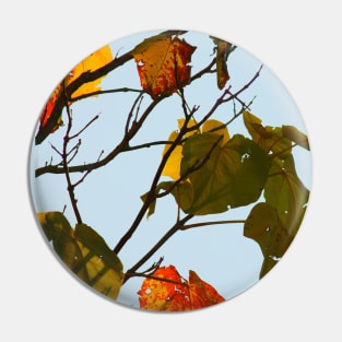 Leaves Pin