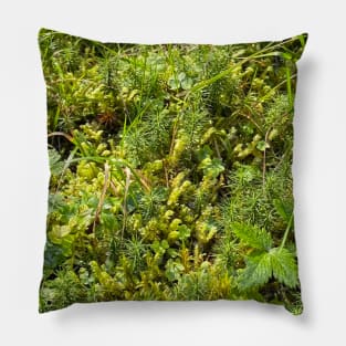 Green Moss Nature Forest Pillow