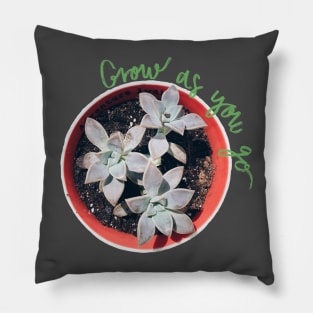 Succulent Grow as you go Green Pillow